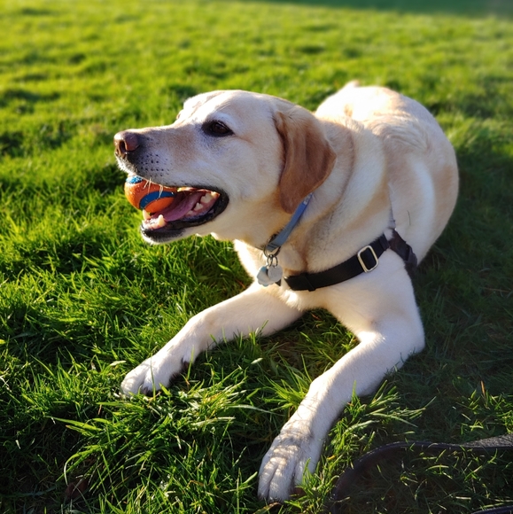 About The_Poshers - Picture 5 of 6